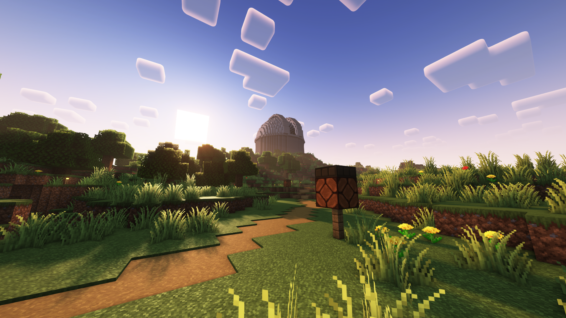 Mein Minecraft-Server